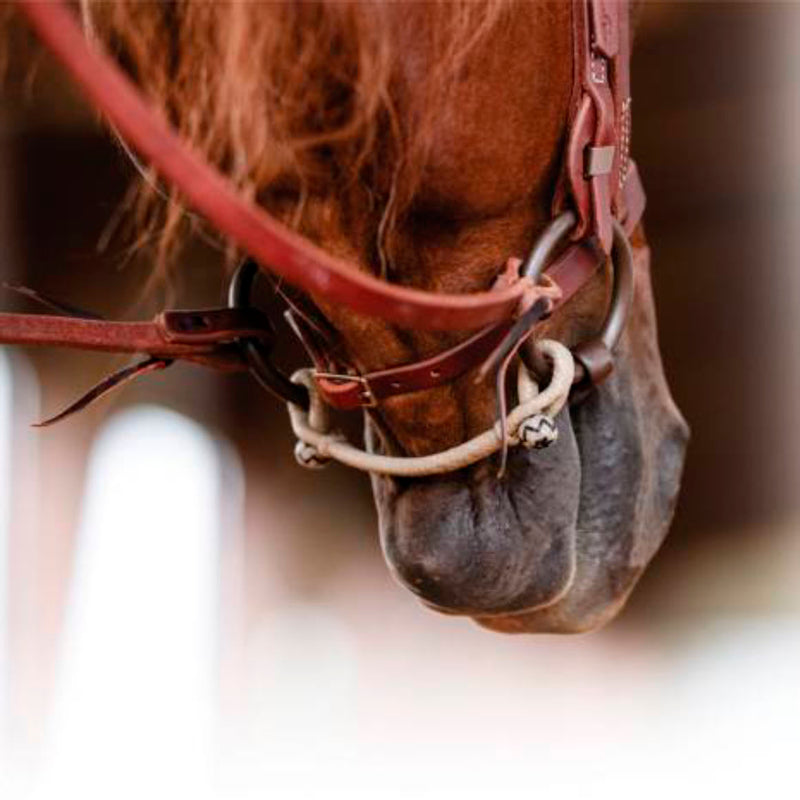 Professionals Choice Rawhide Bit Hobble