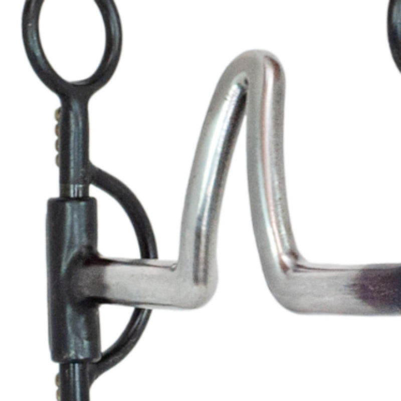 NRS Dotted Black Steel Shank Las Cruces Bit