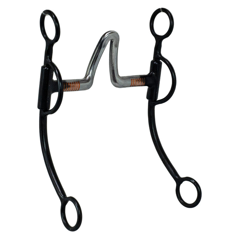 NRS Black Steel Shank Las Cruces Bit