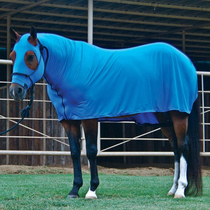 Sleazy Sleepwear For Horses Full Body Sleazy