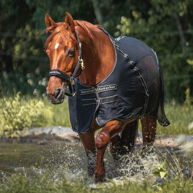 Back On Track Sienna Therapeutic Horse Mesh Cooler Sheet