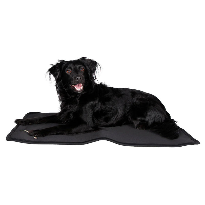 Back On Track Dog Bed Liner