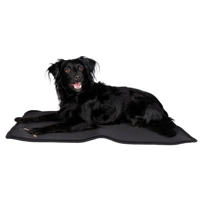 Back On Track Dog Bed Liner