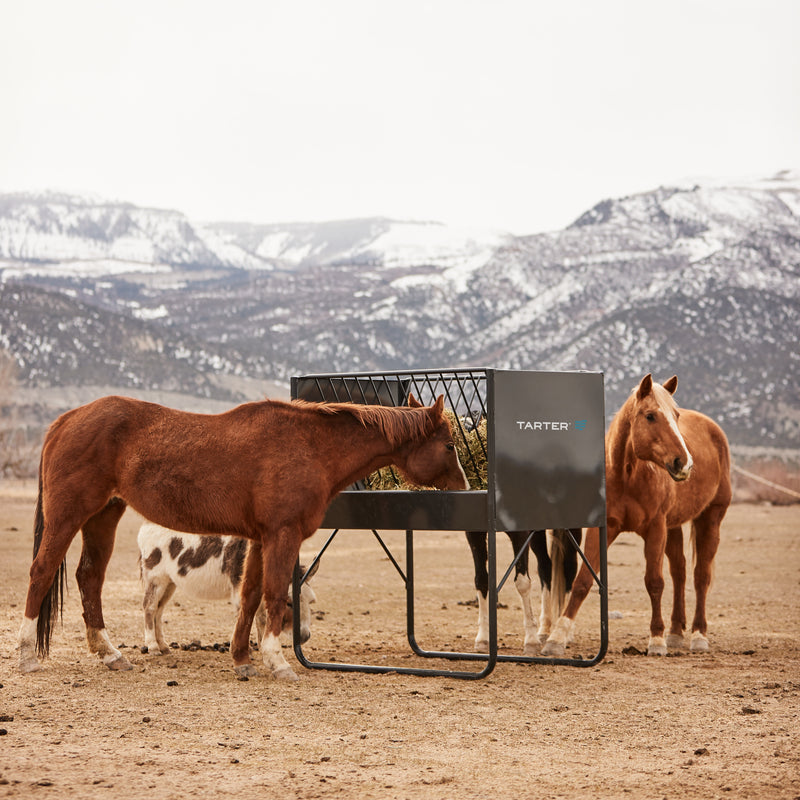 Tarter Equine Elevated Hay Grain Feeder