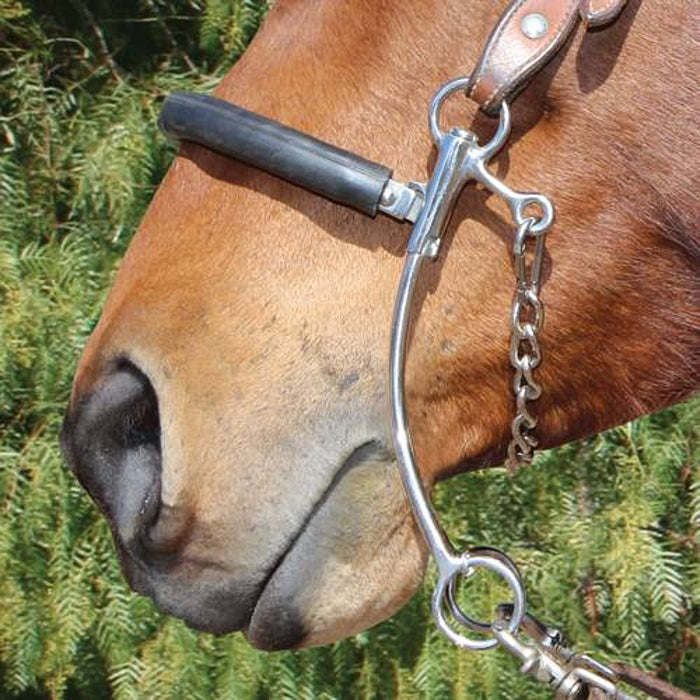 Professionals Choice Brittany Pozzi Medium Hackamore