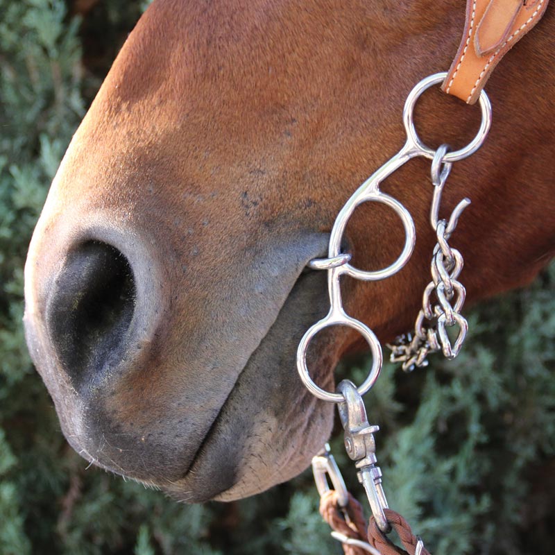 Professionals Choice Futurity Snaffle Bit