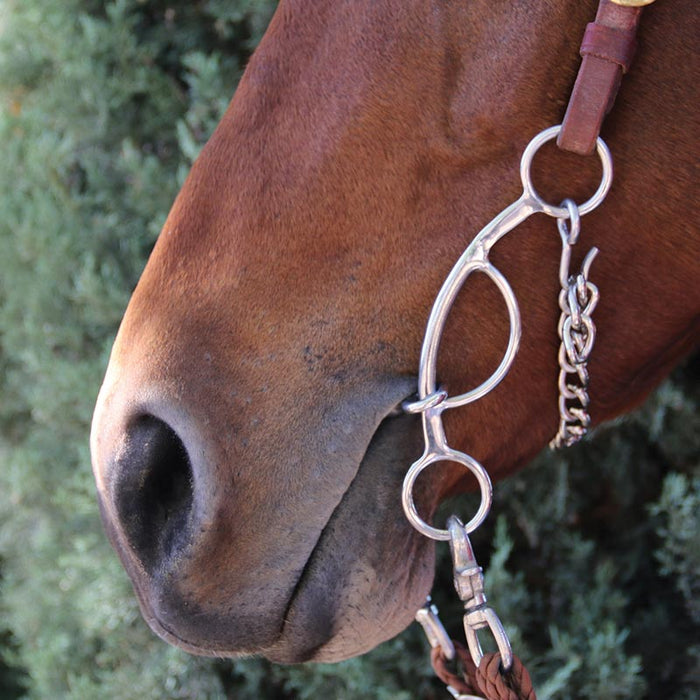 Professionals Choice Professional's Futurity 3 Piece Smooth Bit