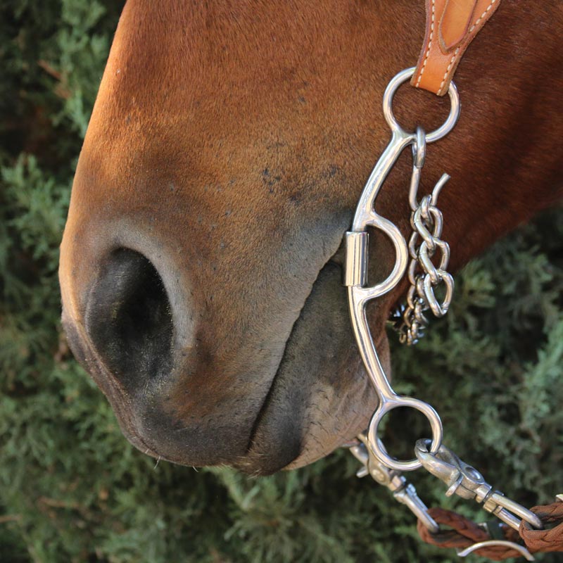 Professionals Choice Derby Chain Mouth Bit