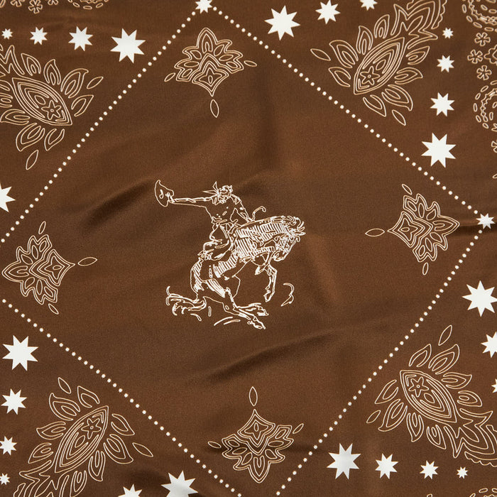 Fringe Scarves Banditos Brown Silk Long Tall