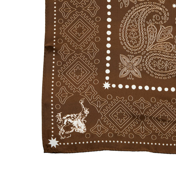 Fringe Scarves Banditos Brown Silk Long Tall
