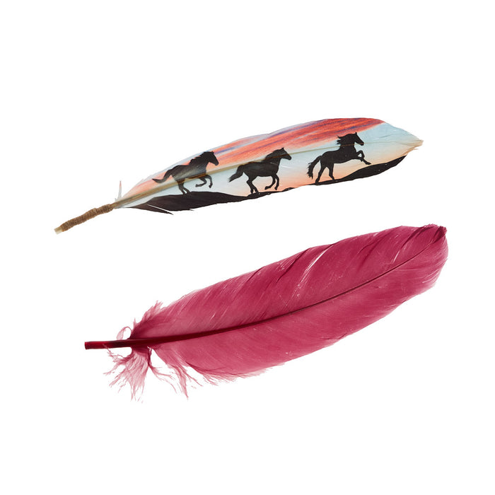 Buckaroo Supply Company Hat Feathers Wild Sunset Horses #6 Feather