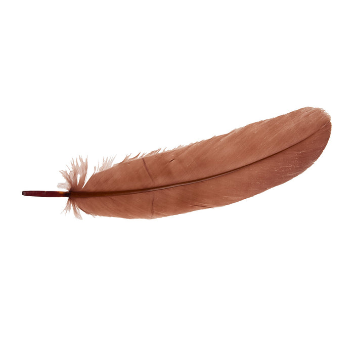 Buckaroo Supply Company Hat Feathers Mama Tried 4.0 Feather