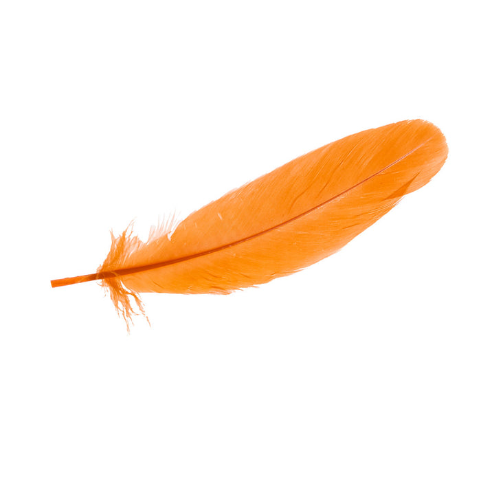 Buckaroo Supply Company Hat Feathers Cowboy Prayer #14 Feather