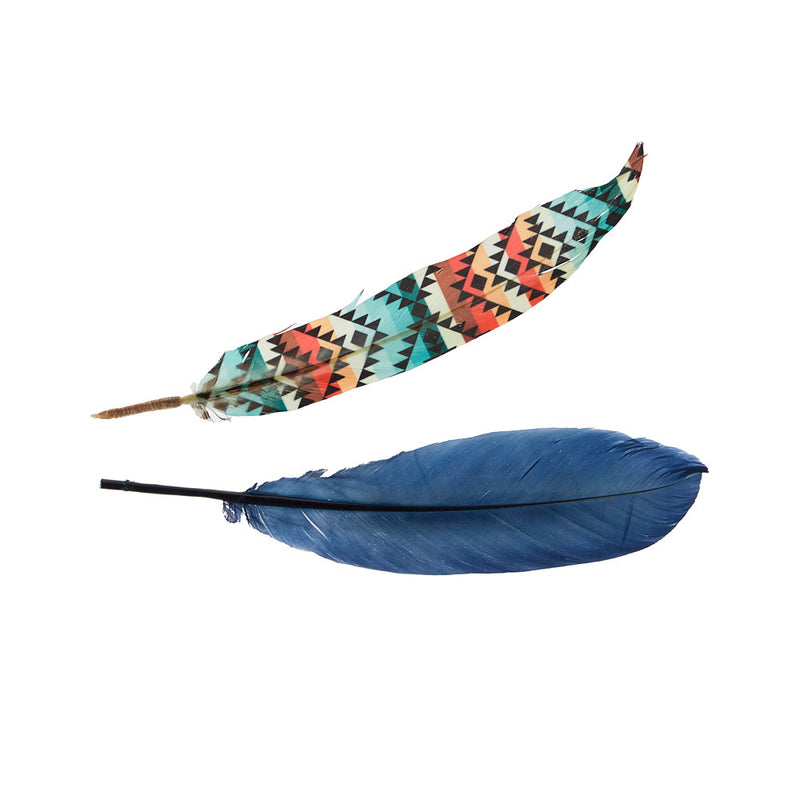 Buckaroo Supply Company Hat Feathers Colorful Desert Feather