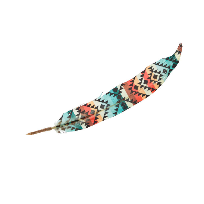 Buckaroo Supply Company Hat Feathers Colorful Desert Feather