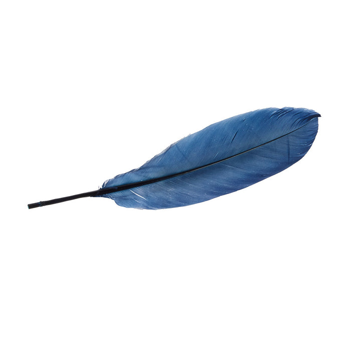 Buckaroo Supply Company Hat Feathers Colorful Desert Feather