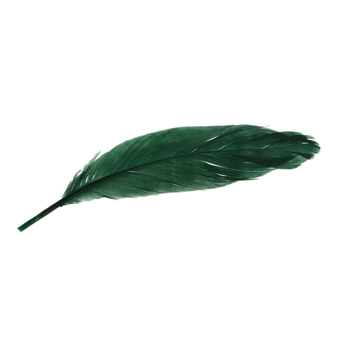 Buckaroo Supply Company Hat Feathers Giddy Up Feather