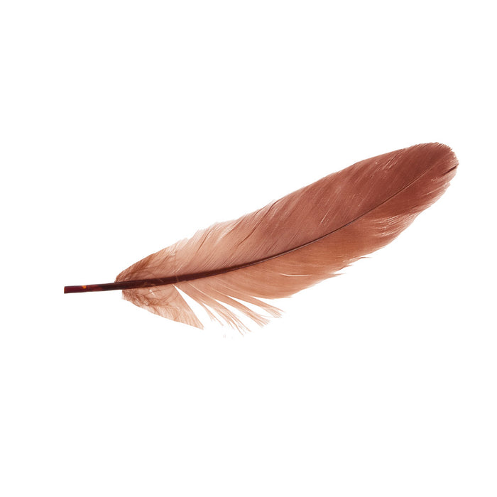 Buckaroo Supply Company Hat Feathers King Of The Rodeo Feather