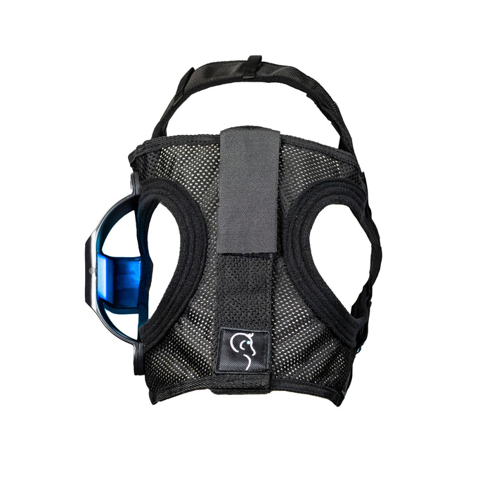 Equilume Belfield Blue Light Mask