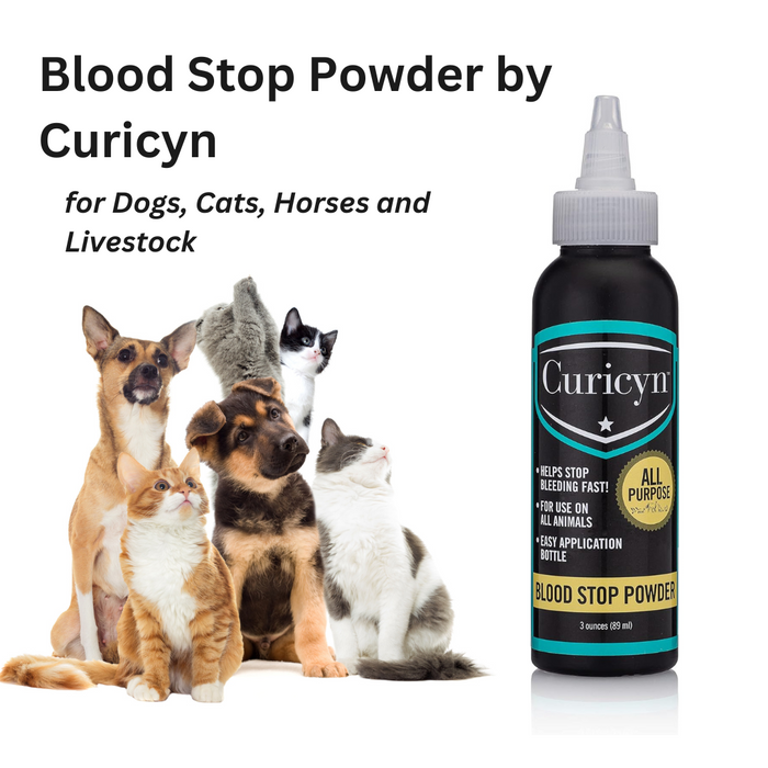 Curicyn Blood Stop Powder