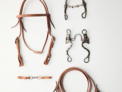 Bridle Bundle - alternate view