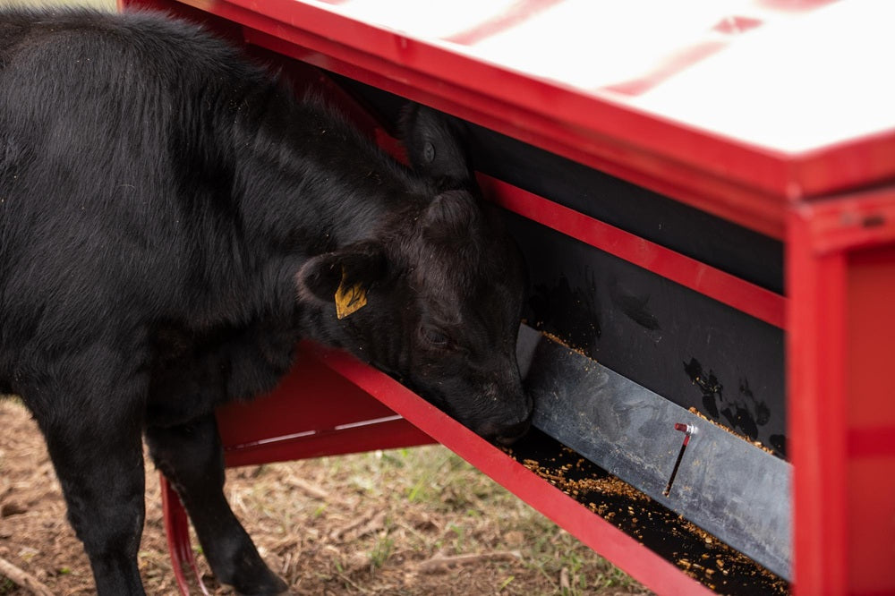 Tarter Calf Creep Feeder 1000
