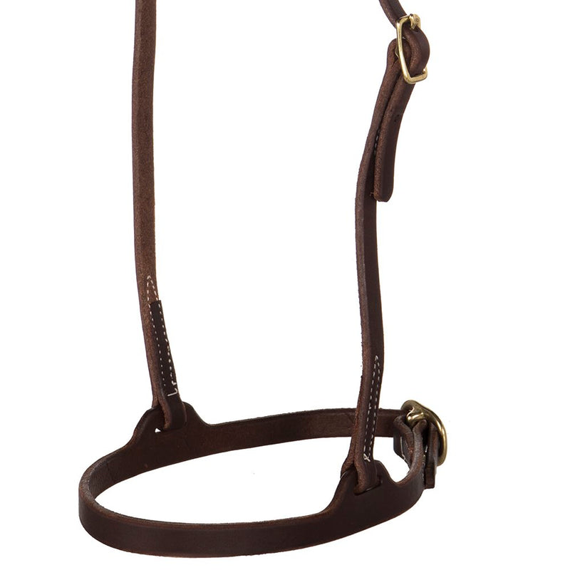NRS Flat Oiled Harness Leather Caveson