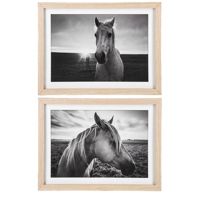 Ganz Framed Black and White Horse Photography Wall Decor -Front