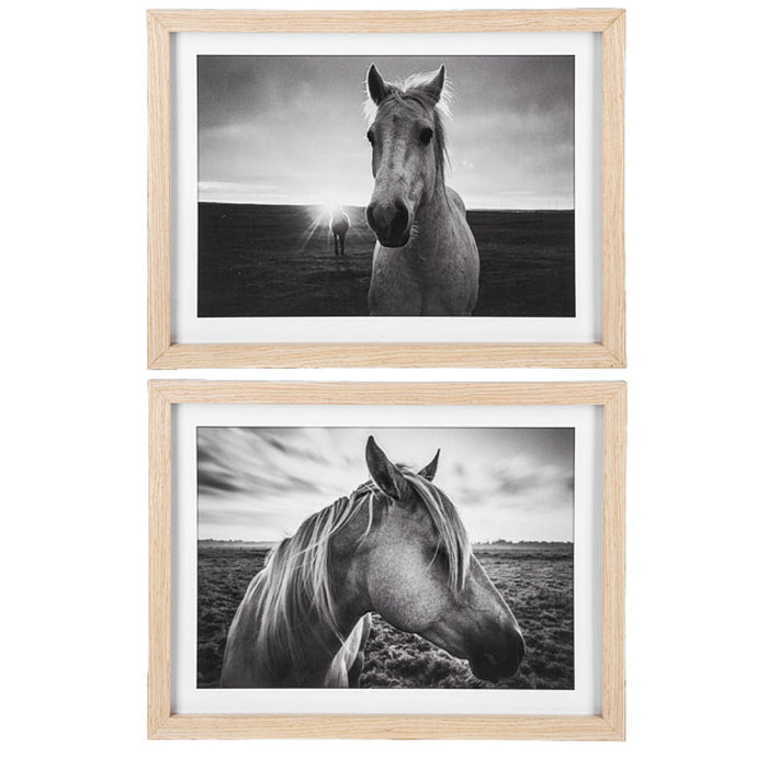Ganz Framed Black and White Horse Photography Wall Decor -Front