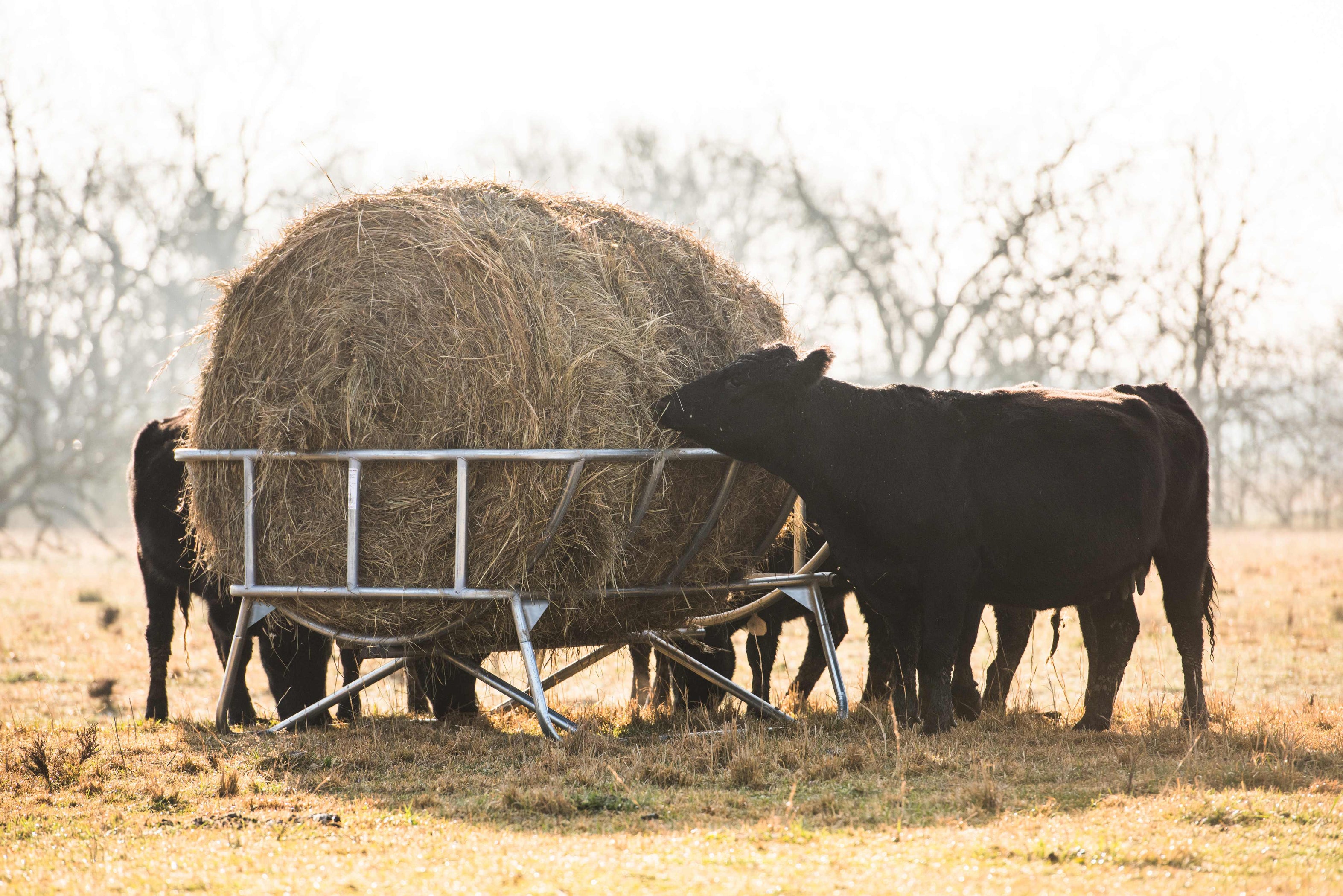 Tarter Cradle Bale Feeder