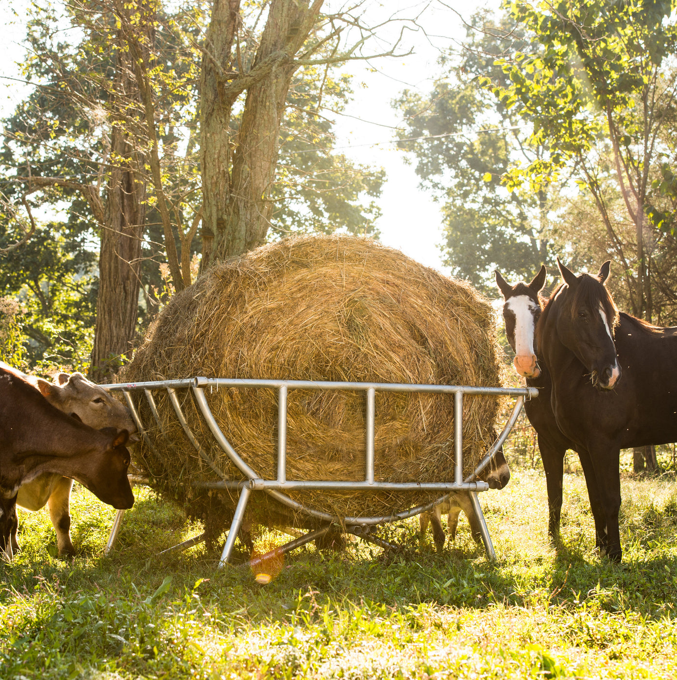 Tarter Cradle Bale Feeder