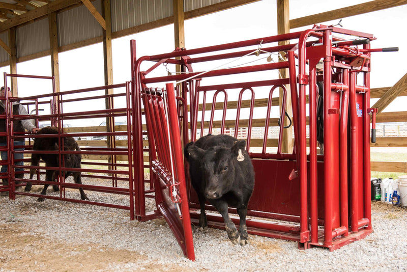 Tarter Cattlemaster Series 3 Squeeze Chute with Auto Headgate
