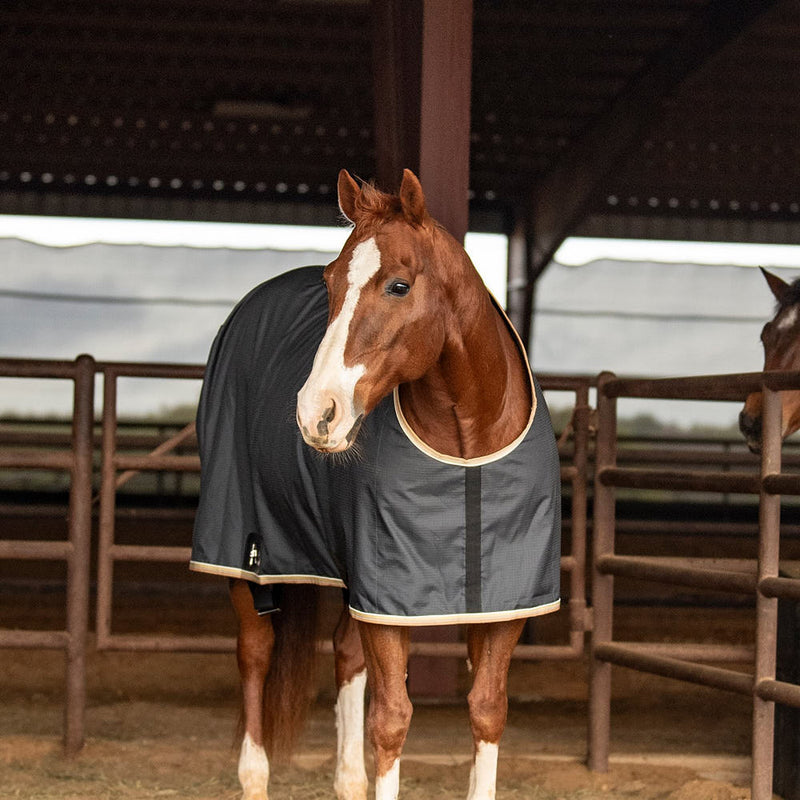 Classic Charcoal Closed Front Stable Sheet