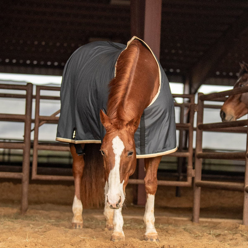 Classic Charcoal Closed Front Stable Sheet
