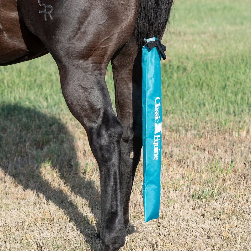 Classic Teal Green Tail Bag