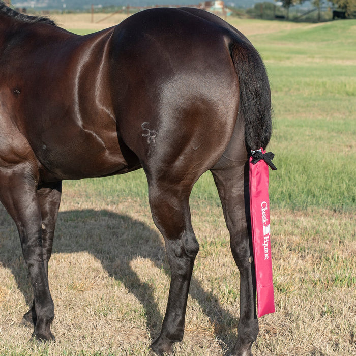 Classic Equine Hot Pink Slick Tail Bag