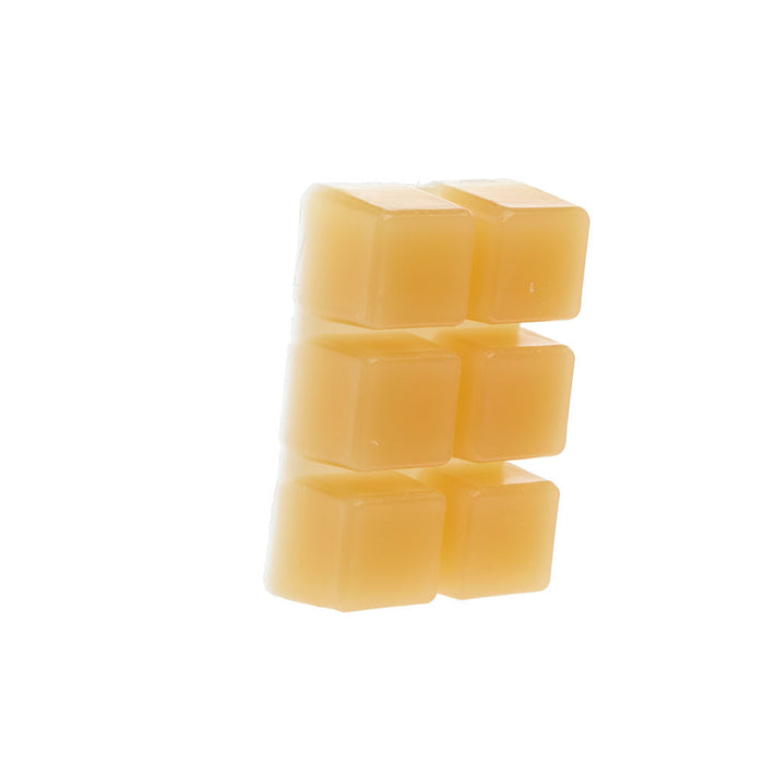 Mcintire Saddlery Christmas Cactus Wax Melt