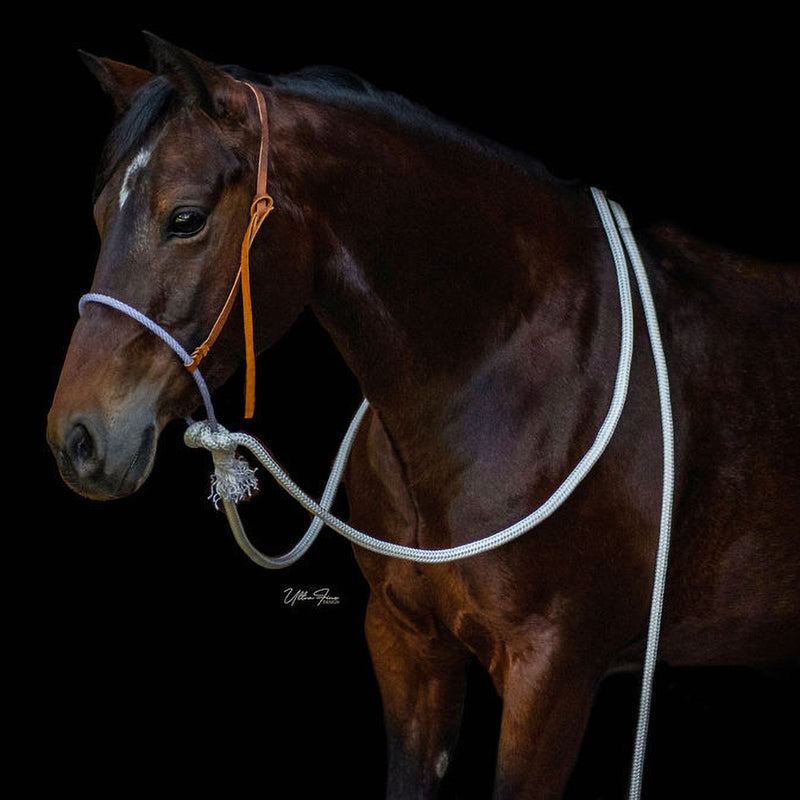 Cmr Hackamores Loping Hackamore with 8ft Reins