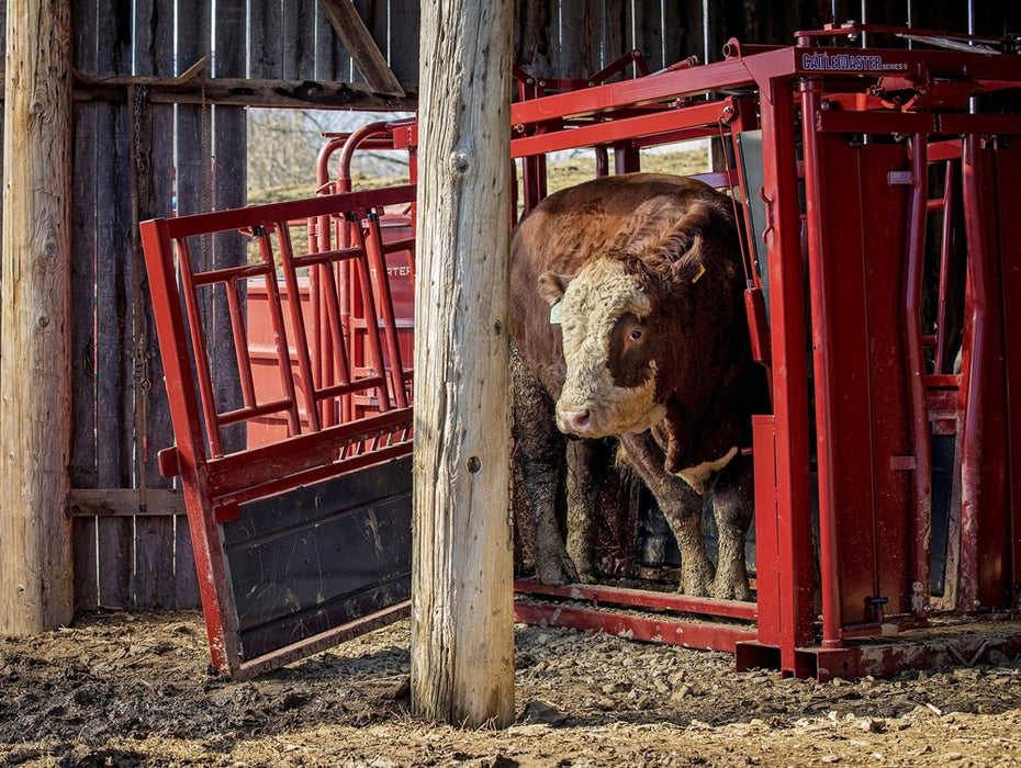 Tarter Cattlemaster Series 9 Squeeze Chute with Auto Headgate