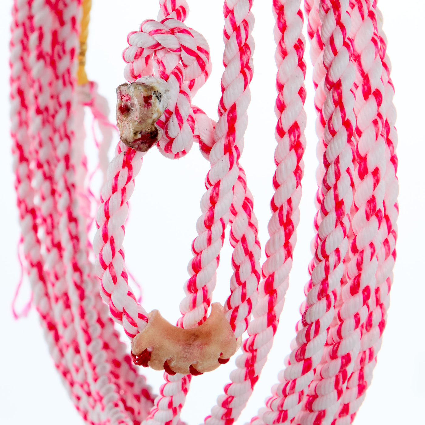 Cactus Ropes Lil' Pistol 23ft Kid Rope