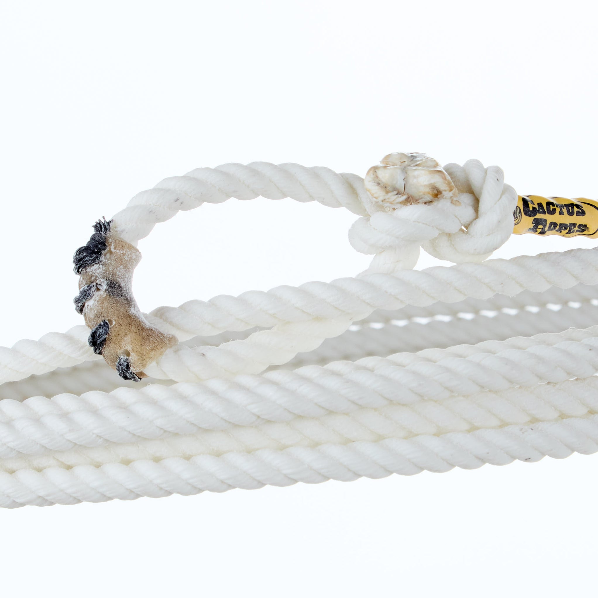 Cactus Ropes Double SS 28ft Calf Rope