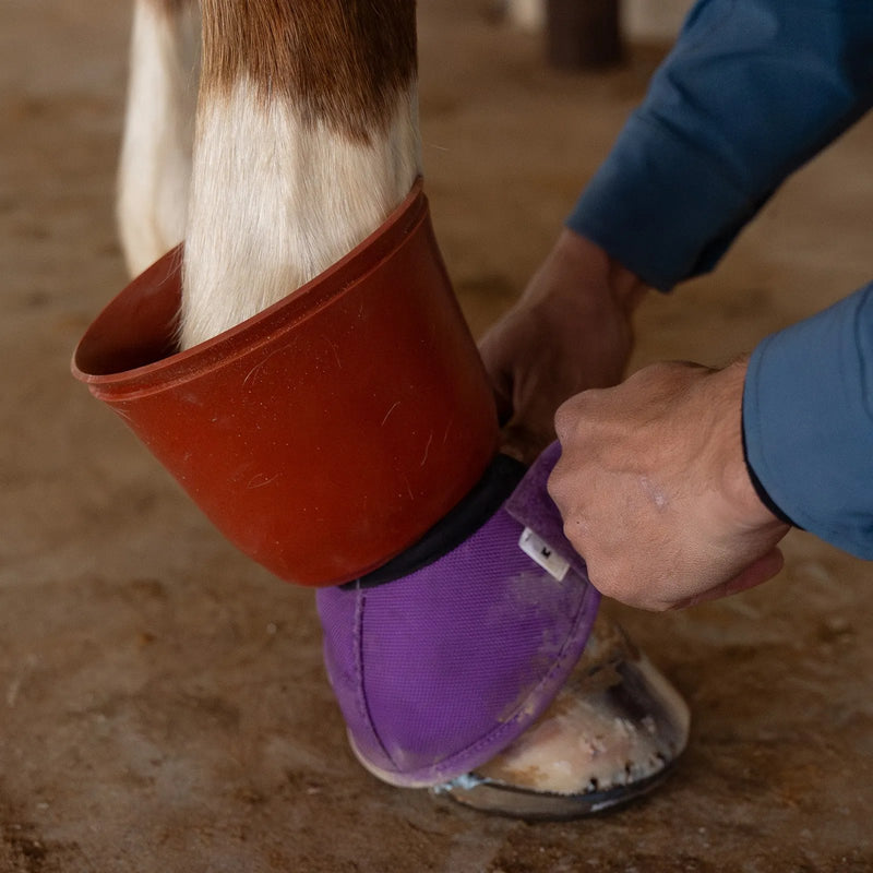 Classic Equine Shoeguard 360 Red Rubber Pull On Bell Boots