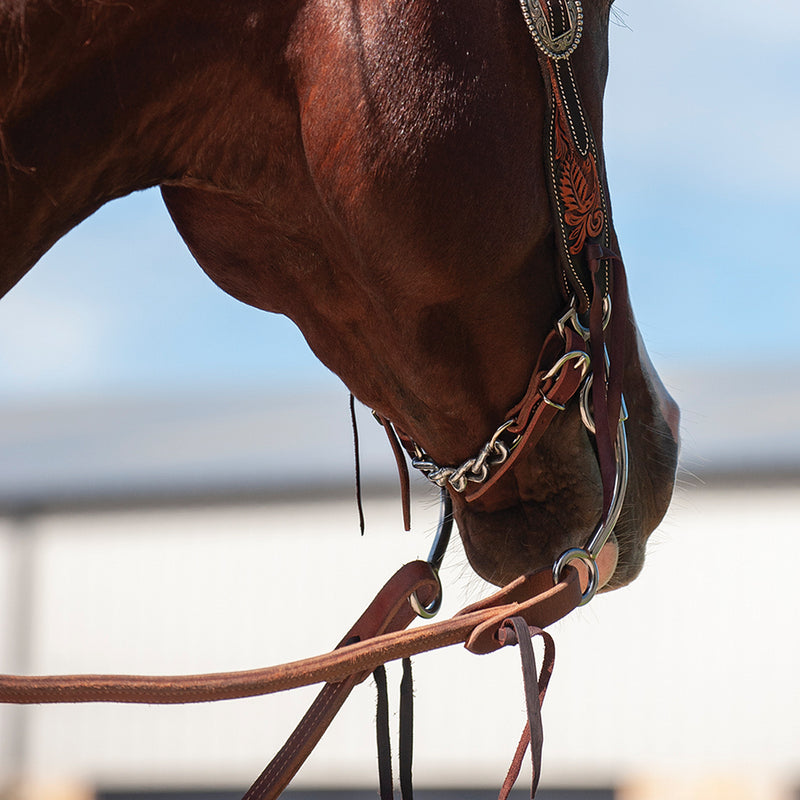 Martin Saddlery 5 Link Latigo Curb Strap