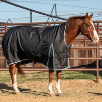 Classic Equine Black 1200D Winter Horse Blanket 100g