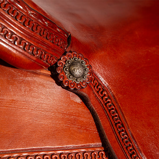Scott Thomas Custom Saddles Border Cutter