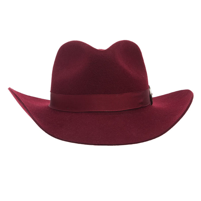 Charlie 1 Horse Lainey Wilson Cowboy Killer Cloud 3 1/4in Brim Felt