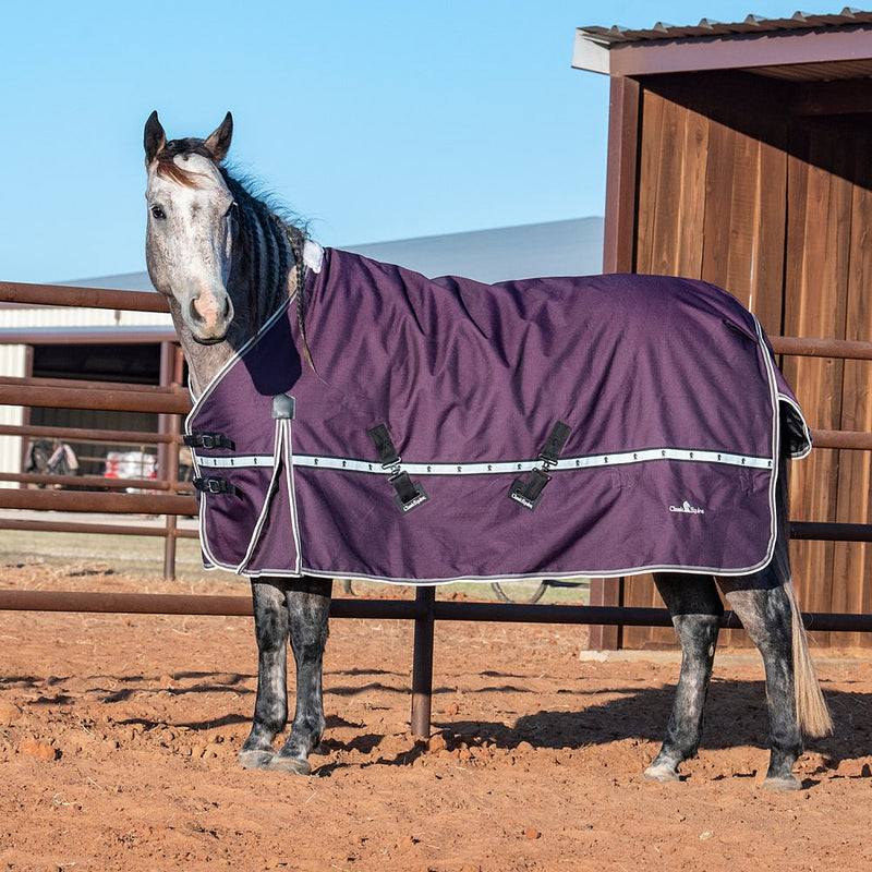 Classic Blackberry 10k Trainer Winter Horse Blanket