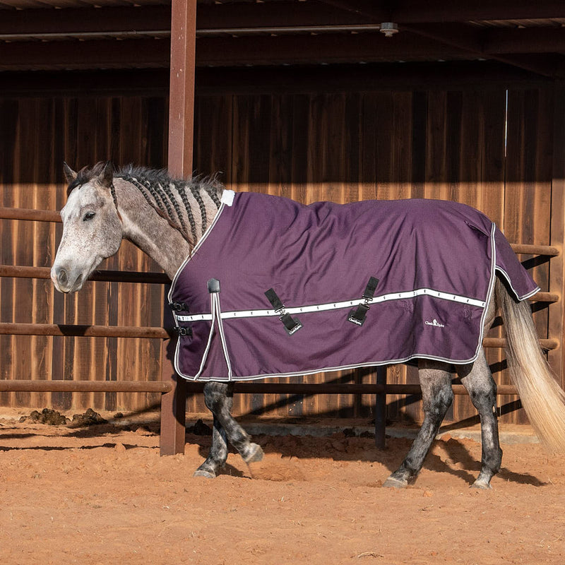 Classic Blackberry 10k Trainer Winter Horse Blanket
