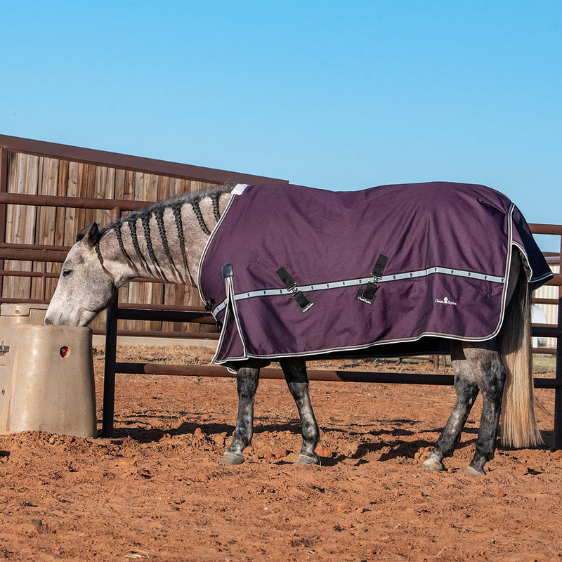 Classic Blackberry 10k Trainer Winter Horse Blanket