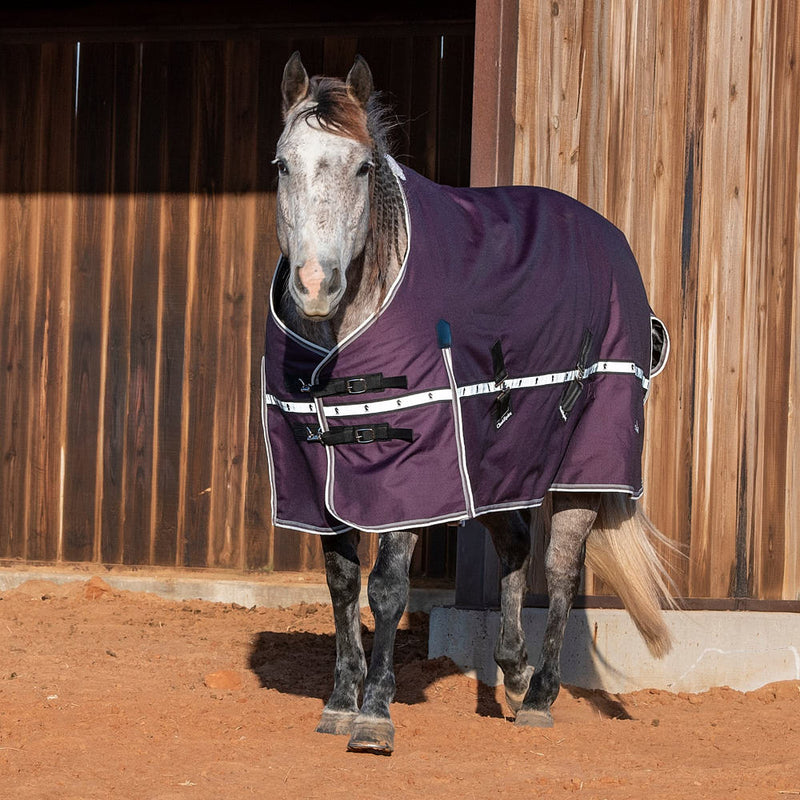 Classic Blackberry 10k Trainer Winter Horse Blanket